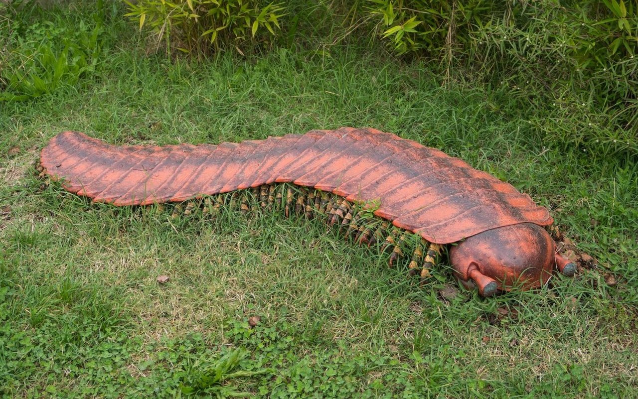 Zur Zeit der Dinosaurier erreichten auch Gliederfüsser stolze Grössen von bis zu zwei Metern. 