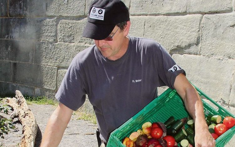 Roland Meier versteckt die Früchte für die Bären.