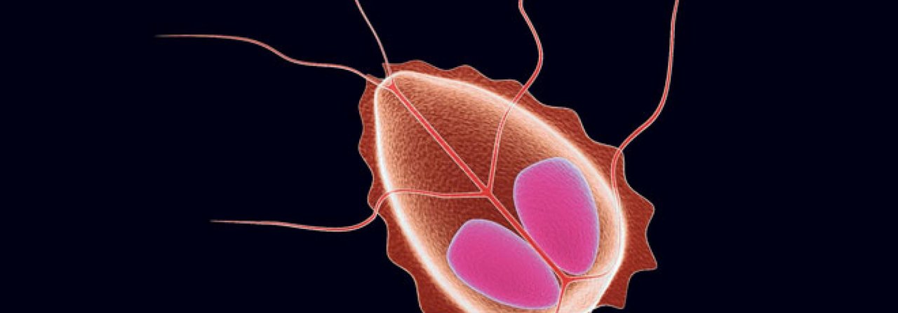 Dieser Parasit heisst Giardia und macht vor allem Hunden das Leben schwer, indem er Durchfall verursacht.