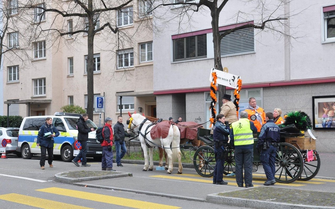 Im Jahr 2022 wurden die «Chaisen» erstmals veterinärmedizinisch kontrolliert. Zudem wurden verschiedene Pausenzonen für die Pferde eingerichtet. Laut dem Komitee sei der Stress für die Fluchttiere aber immer noch zu gross. 