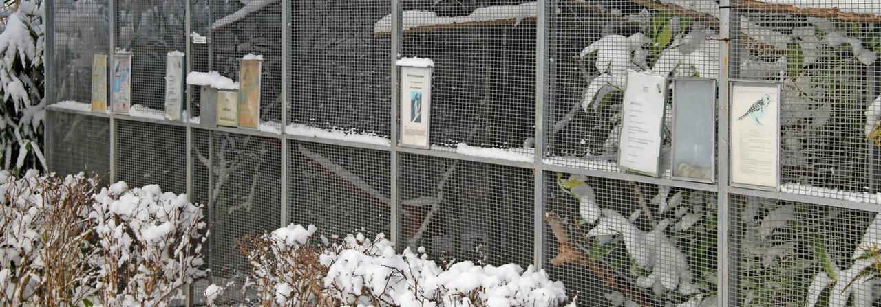 Die Vögel dieser verschneiten Aussenvolieren haben frostfreie Innenräume zur Verfügung.