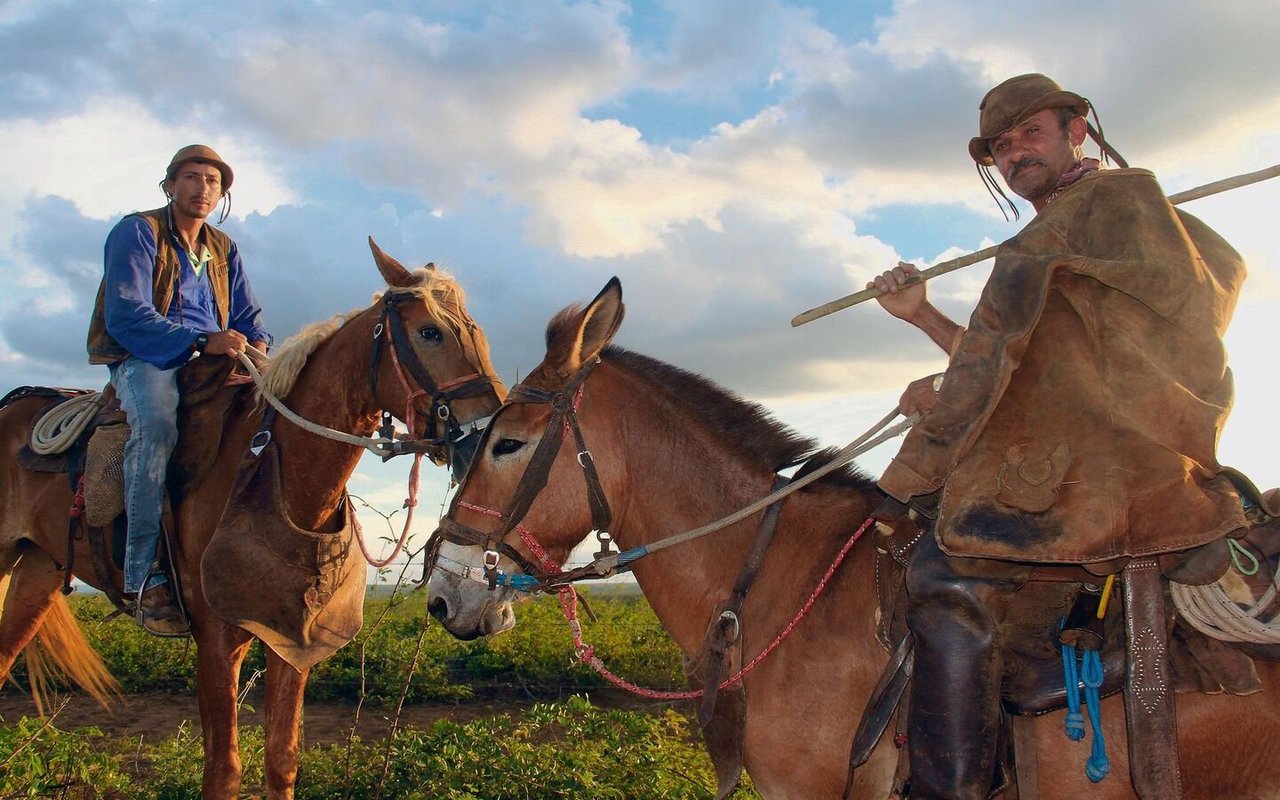 Beim Gang hoch zu Pferd durch den Dornenwald schützen die Bewohner der Caatinga sich und ihre Pferde mit Lederkleidern.