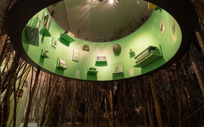 Die Sonderausstellung «Schatzkammer Wald» präsentiert die facettenreiche Rolle des Waldes