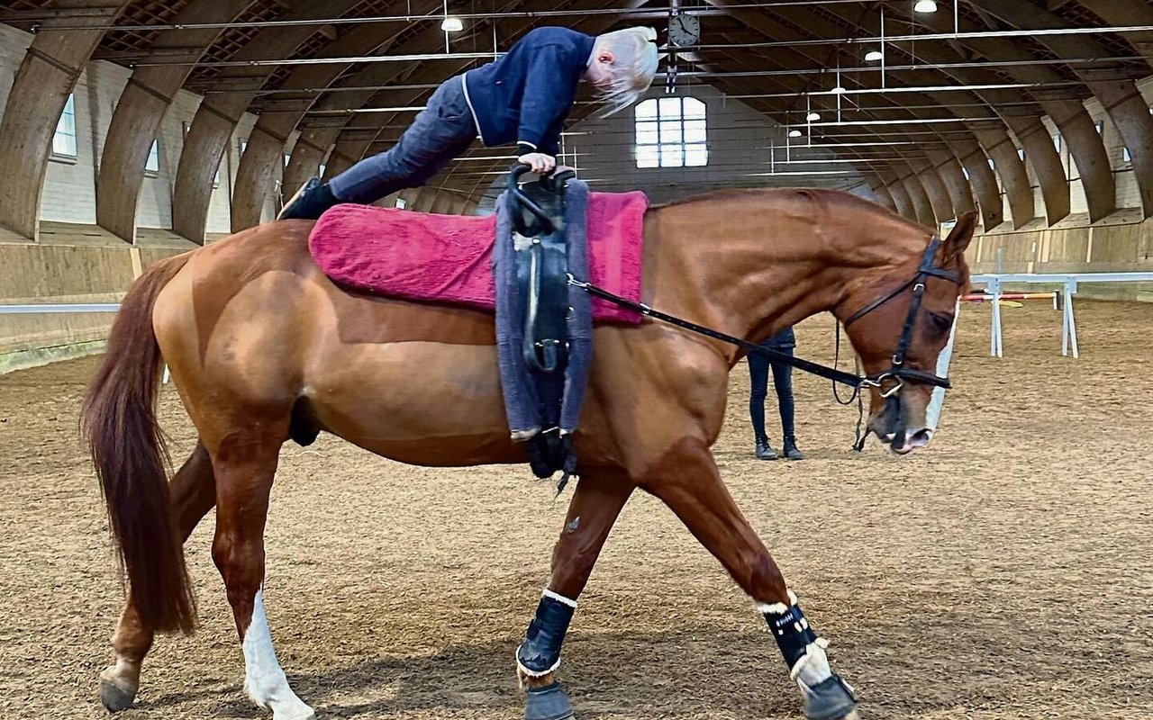 Turnen auf dem Pferd erfordert Kraft und Balance. 