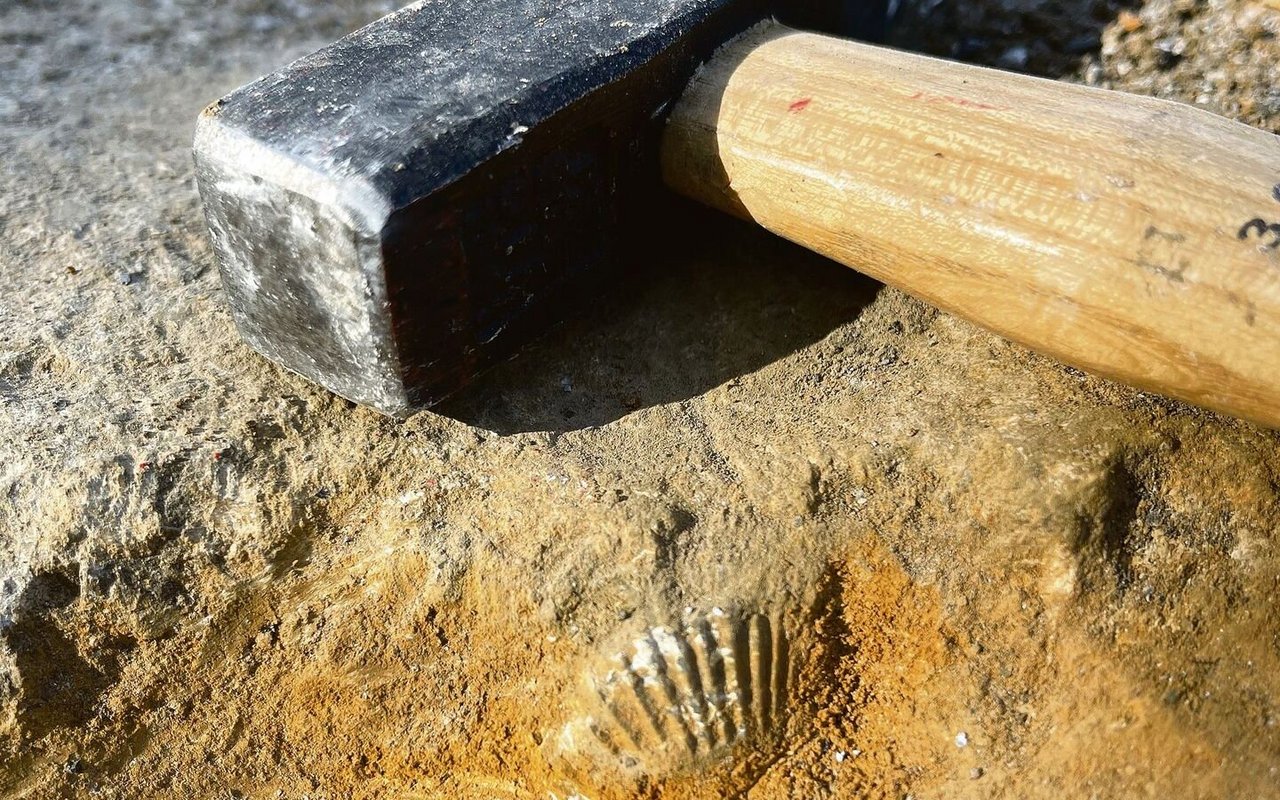 Fossiliensuche mit Hammer