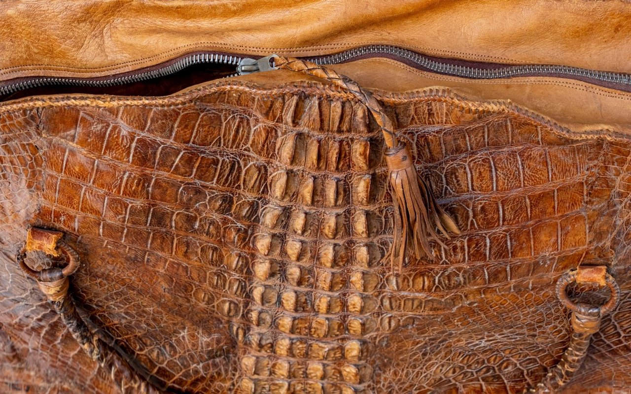 Leder aus Tierhäuten gehört längst zur Modewelt, doch es spielt auch in der Landwirtschaft eine Rolle – von robusten Sattelriemen bis zu widerstandsfähigen Halftergurten.