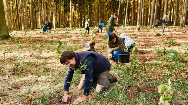 Im eigenen Land einen Freiwilligeneinsatz in den Ferien zu leisten, kommt der heimischen Natur zugute.