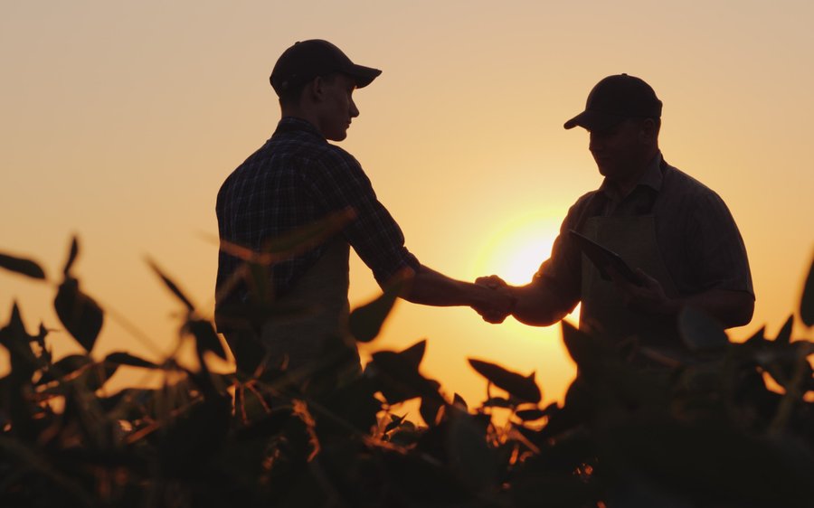 in der solidarischen Landwirtschaft organisieren sich Konsumierende als Genossenschaft und gehen dann mit den Landwirten einen Vertrag ein.