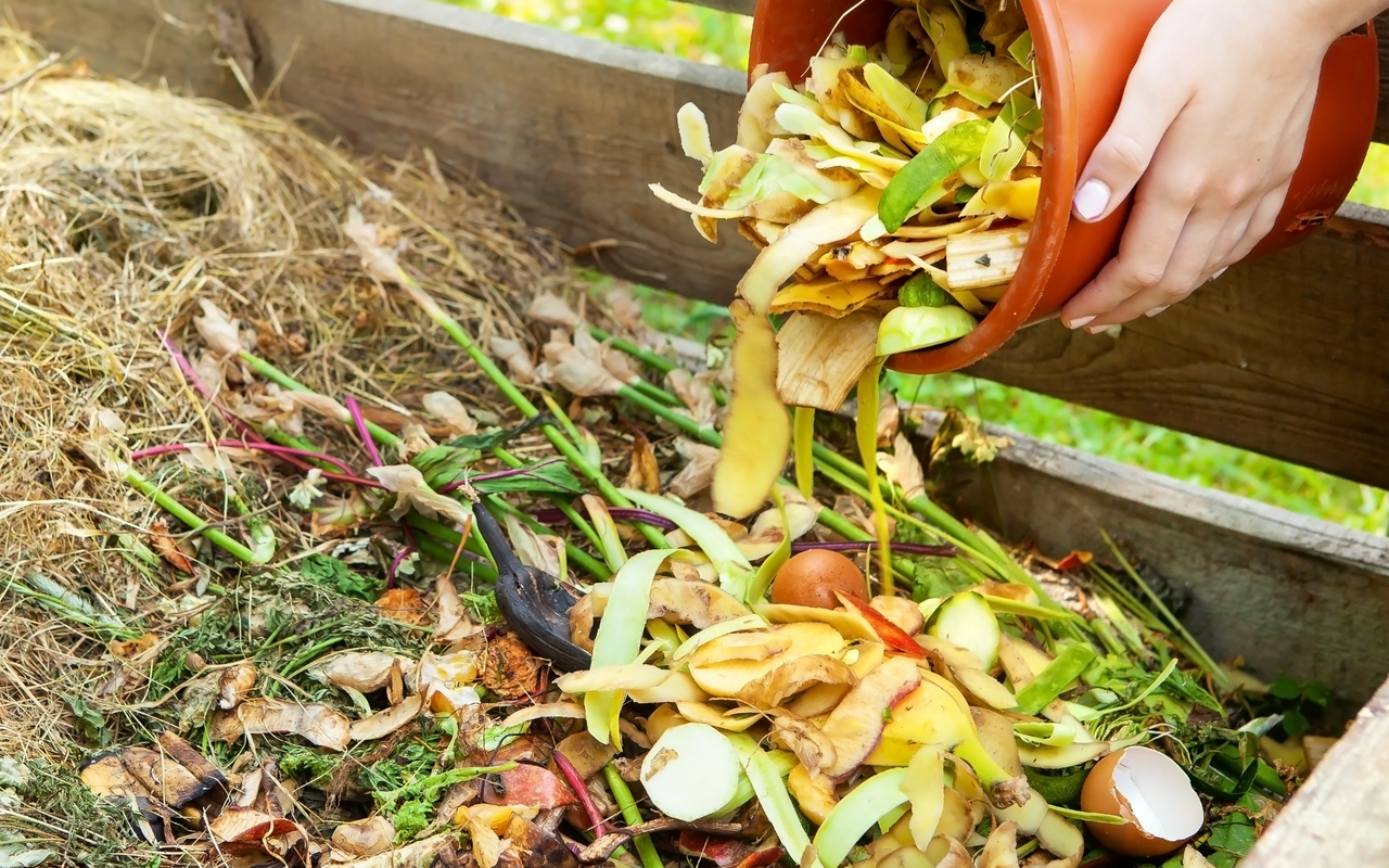 Wenn richtig kompostiert wird, kann der Kompost als Dünger für den Garten verwendet werden. Es gibt aber viele Dinge, die die Qualität des Komposts beeinflussen.