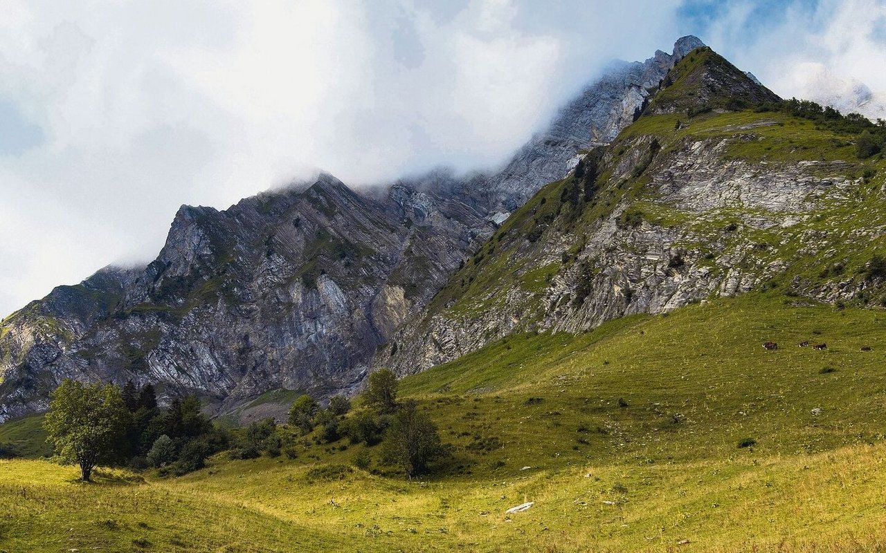 Wegen wärmeren Temperaturen verschieben sich die Lebensräume der Baumarten in höhere Lagen. 