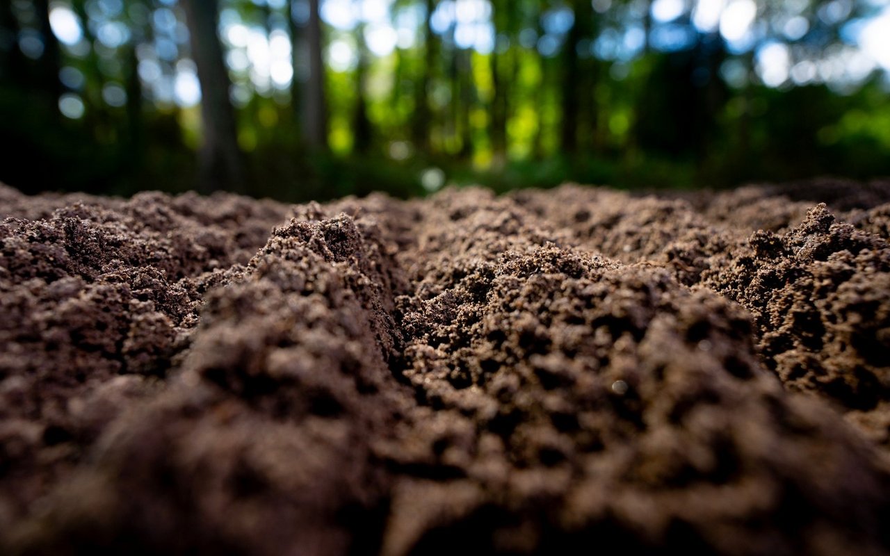 Humusaufbau schadet keinem Acker. Aber kann er tatsächlich schädliche Treibhausgase langfristig im Boden speichern?