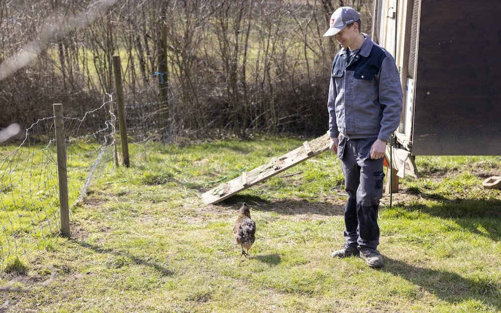 Eines der quirligen, schwanzlosen Araucana-Hühner ist aus dem Stall entwischt. Alexander Morf nimmts gelassen und bringt die Henne wieder zurück. 