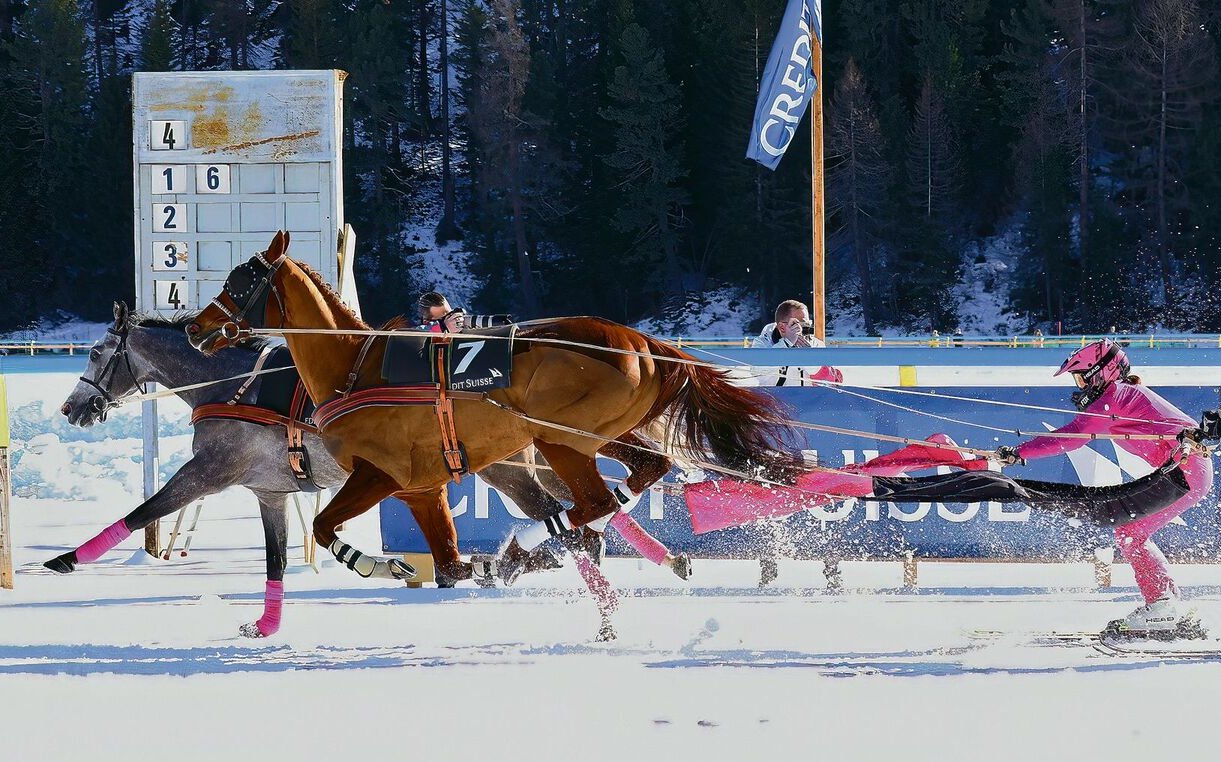 Skijöring verlangt ein Feeling für Skis und Pferde.