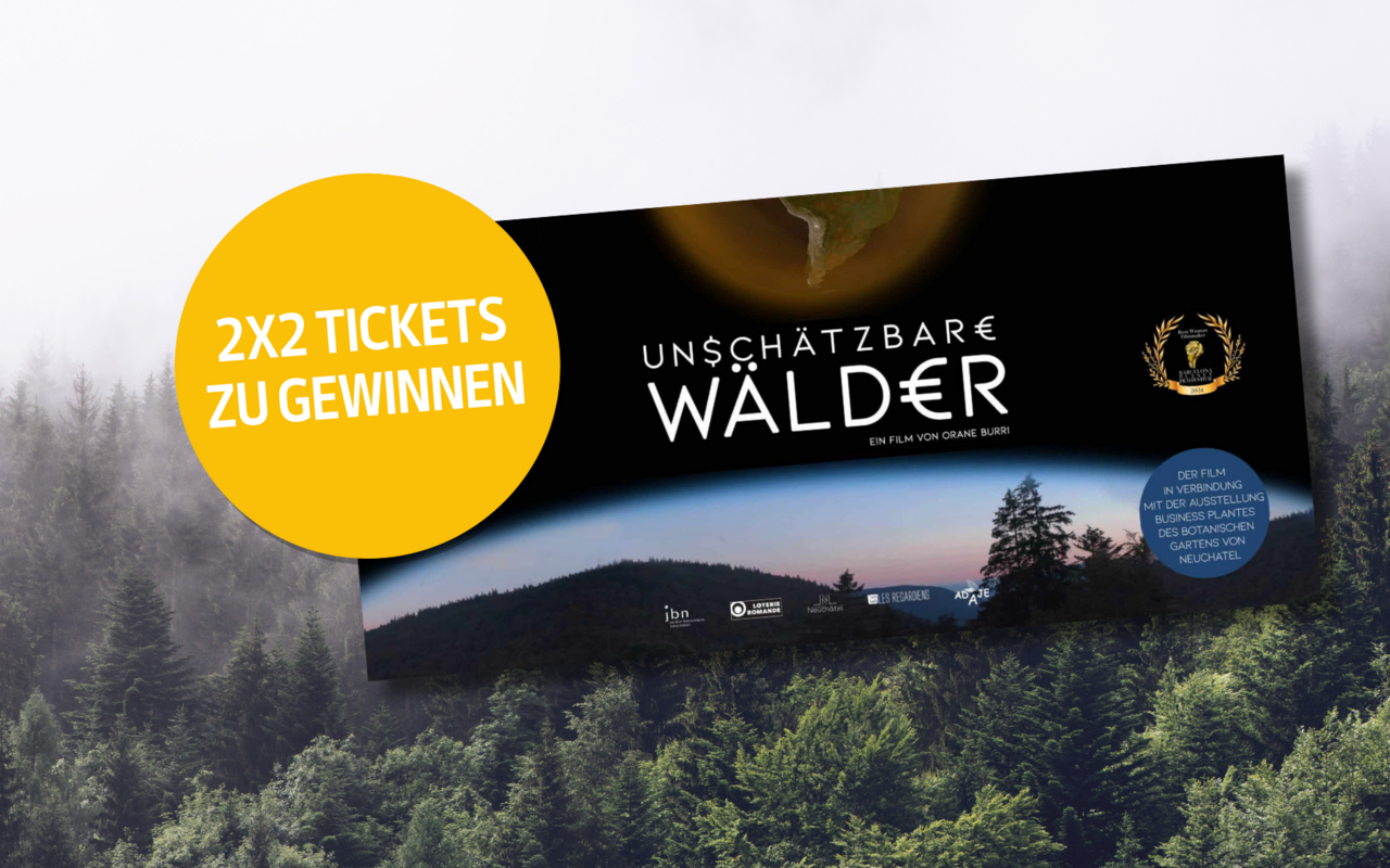 Tief im Walde: Der neue Dokumentarfilm wirft ein neues Licht auf das empfindliche, faszinierende Ökosystem.