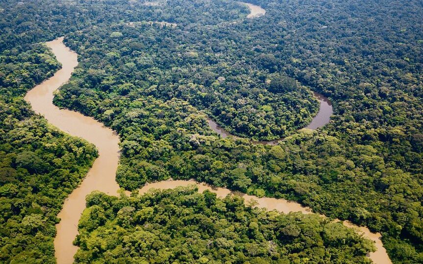 Flüsse mäandern durch den amazonischen Tieflandregenwald, suchen sich stets neue Wege und bilden Altwasserseen. 