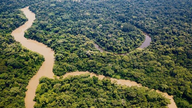 Flüsse mäandern durch den amazonischen Tieflandregenwald, suchen sich stets neue Wege und bilden Altwasserseen. 