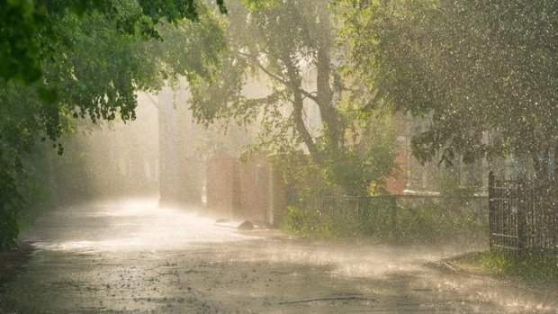 Strasse bei Sommerregen