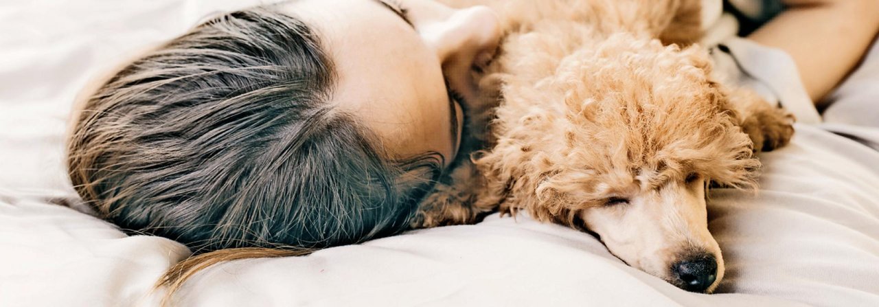 Viele Menschen kommen ihrem Hund sehr nahe. Doch Vorsicht: Ist der Vierbeiner krank, kann er Herrchen und Frauchen anstecken.