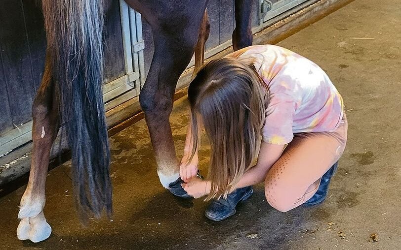 Welches Tier zum wem passt, entscheidet die Reitpädagogin.