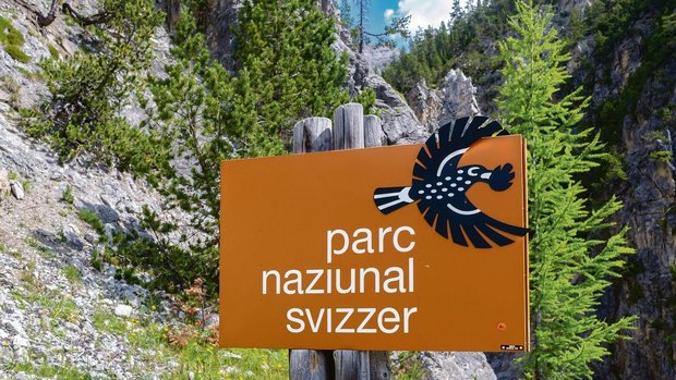 Bildlegende bliblablu Bildlegende bliblablu Bildlegende bliblablu Bildlege