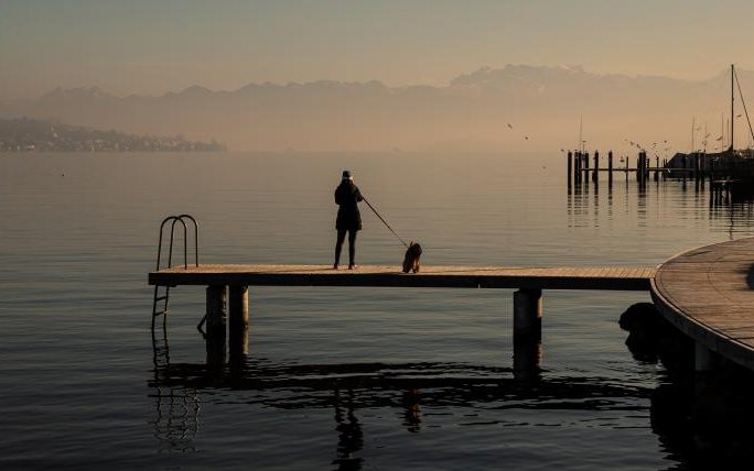 Am Zürichhorn bekommen Hunde wieder mehr Freiheiten.