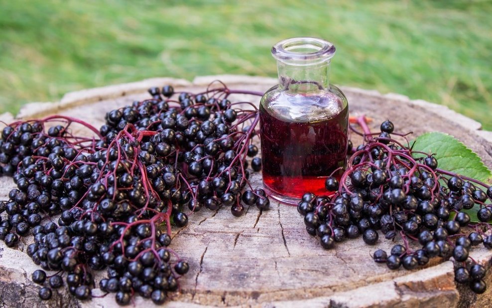 Holunderbeeren stecken voller wertvoller Vitamine, Mineralstoffe und antioxidativer Pflanzenstoffe. Sie stärken das Immunsystem, helfen bei Erkältungen und wirken entzündungshemmend.