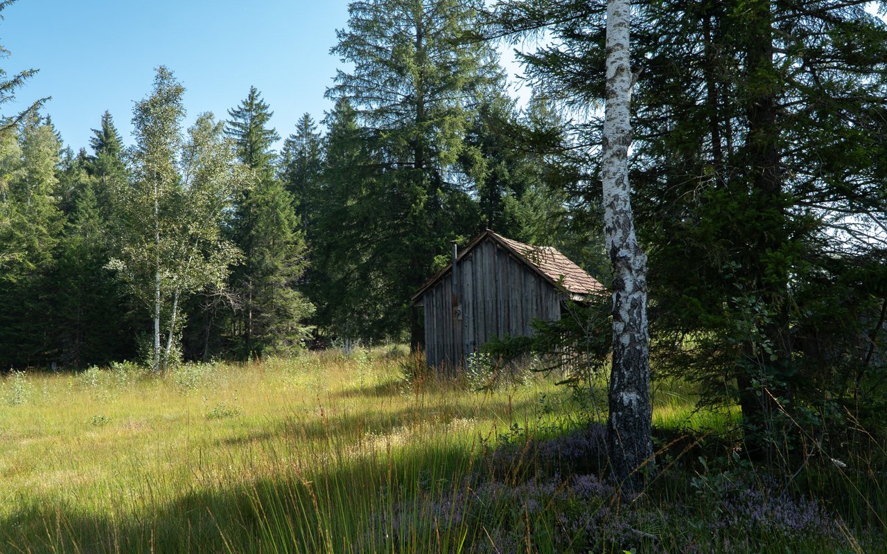 Eine Torfhütte im Moor Schwantenau bei Einsiedeln.