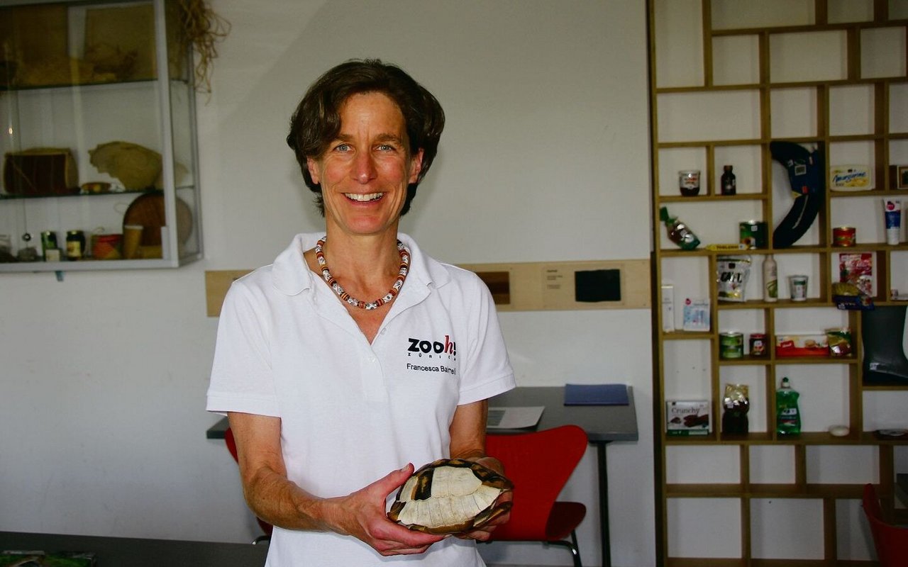 Die Zoopädagogin Francesca Balmelli zeigt im Klassenzimmer des Zoo Zürich einen Schildkrötenpanzer. 