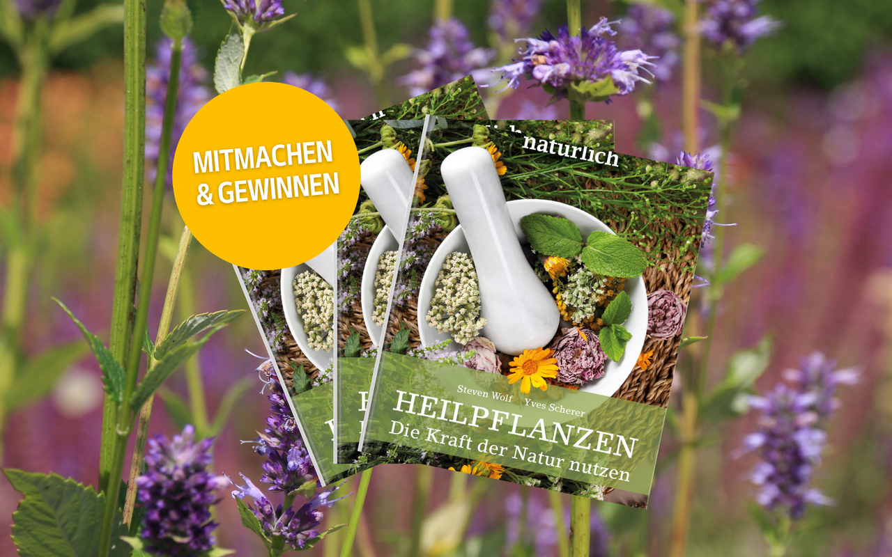 Gewinnen Sie das Buch «Heilpflanzen – Die Kraft der Natur nutzen» vom Weber Verlag.