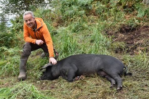 Markus Renner liebt seltene Tierrassen. Neben den Schwarzen Alpenschweinen züchtet er Spiegelschafe und Yaks.