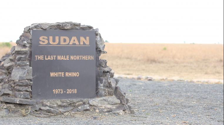 Die Gedenktafel in Kenia erinner an Sudan, das letzte männliche Nördliche Breitmaulnashorn, das 2018 starb.