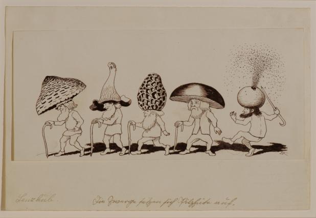 Die Tuschzeichnung «Lenzbub kommt!: Die Zwerge setzen sich Pilzhüte auf» fertigte Kreidolf um 1920 an.