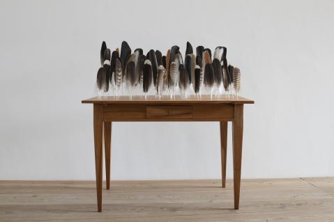 «Feathered Table» von Bethan Huws, 2009
