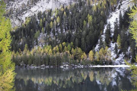 Der Urwald von Derborence im Wallis (er heisst Écorcha) liegt auf 1400–1700 Metern an einem Steilhang über dem gleichnamigen See. Vor den zwei grossen Bergstürzen im 18. Jahrhundert lag der Wald noch rund hundert Meter über dem Grund des Talkessels.