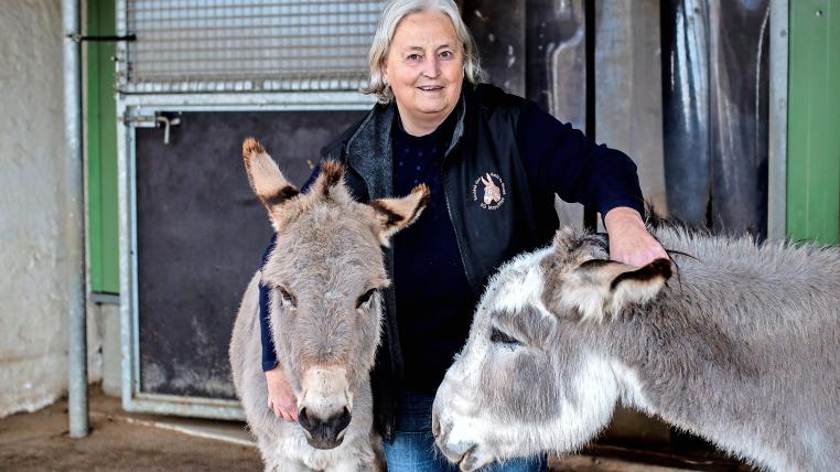 75 Esel sind derzeit im «Eselheim Merlin» in der Pflege von Erna Schmid.