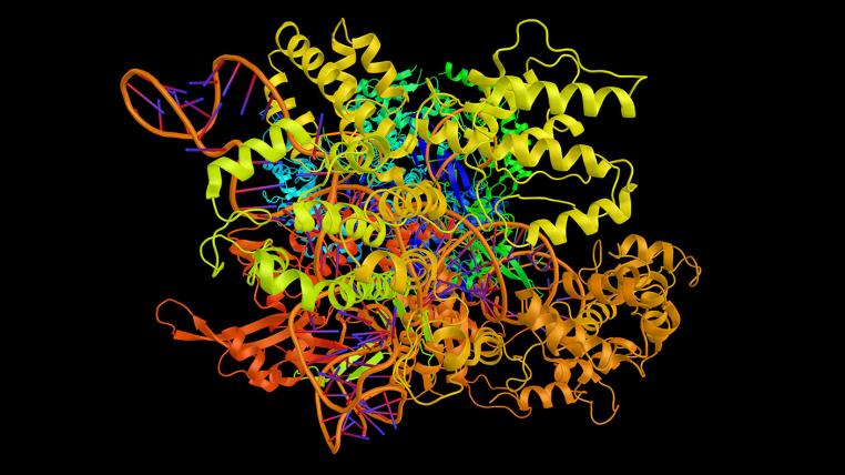Die «Gen-Schere» Crispr-Cas9 erlaubt es, das Genom eines beliebigen Lebewesens präzise zu verändern. Nach dem einfügen von neuer DNA klappt es mit dem «Zusammenflicken» allerdings noch nicht ganz. David Liu hat ein Enzym entwickelt, das dabei helfen soll. Er ist einer von den von «Nature» gekürten zehn wichtigsten Persönlichkeiten der Wissenschaft im Jahr 2017.