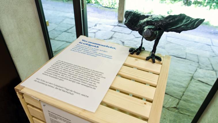 Der erste Teil der Ausstellung thematisiert die Intelligenz der Tiere – dazu gehört auch die Fähigkeit zu kooperieren.