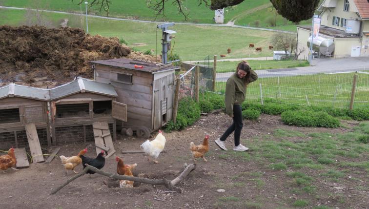 Die Hühner folgen der Tierliebhaberin auf Schritt und Tritt.