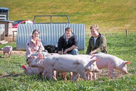 Die jungen Landwirte Nicole und Godi Werffeli freuen sich. Fabio Müller (rechts) von «Mein Schwein» hat eine neue Ladung Schweine abgeliefert.