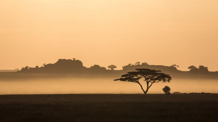 «Serengeti Nature Skyline» von Paul Argast aus Gelterkinden BL.