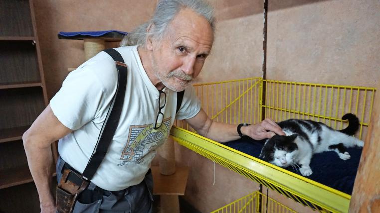 Günther Weber betreibt in Buckten BL ein Katzenasyl. Derzeit leben 30 Katzen dort.
