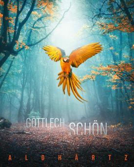 Das Album-Cover vopn «Göttlech schön».