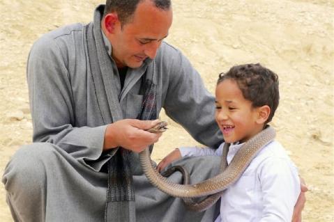 An den Ufern des Nil (Arte, 11.20Uhr, 125 Minuten) Der TV-Tag beginnt kurz nach dem Mittagessen mit einer Reise nach Ägypten. Die dreiteilige Doku des Dokumentarfilmers Michael Gregor startet «Zwischen Assuan und Luxor», streift im zweiten Kapitel durchs Gebiet «Zwischen Luxor und Wüste», um im Gebiet «Zwischen Wüste und Mittelmeer» zu enden Gregor beleuchtet in seiner Serie verschiedene Aspekte des Gebiets. Die Reise beginnt bei den ärchäologischen Ausgrabungen auf der Nil-Insel Elephantine. Im Kamel-Souk von Daraw glaubt man sich in die Zeit aus «1001 Nacht»zurückversetzt. Seit Jahrhunderten treiben auf diesem Markt ausschliesslich Männer Handel. Auch ein Blick auf den Baudes Assuan-Staudamms darf nicht fehlen. Dadurch wurde der Nil berechenbar und überflutet nicht mehr alljährlich das Land.