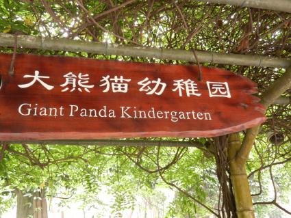 Im Panda-Kindergarten in der «Chengdu Research Base of Giant Panda Breeding» können sie die Pandababys austoben. Achtung: Auf den folgenden Bildern erwartet Sie sehr viel Herzigkeit.