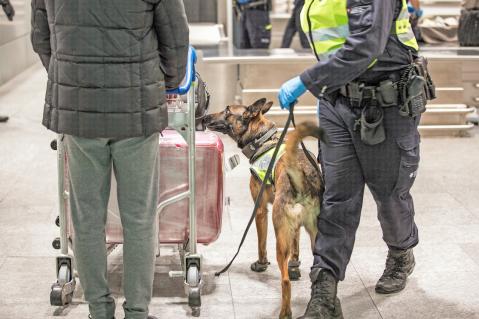 Stichprobe am Zürich Airport: Malinoisrüde Jack könnte verdächtige Gerüche durch Metallkoffer und Verpackung riechen. 