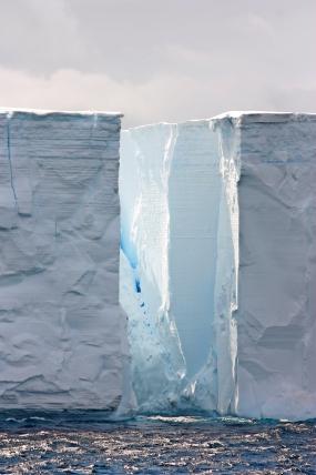 Das Schelfeis wird von Gletschern, Eisströmenoder Eiskappen gespeist. Es handelt sich dabei um eine grosse Eisplatte, die im Meer schwimmt, aber noch mit dem Land und dem sogenannten Landeis verbunden ist. Für Schelfeis typisch ist, dass immer wieder grosse Teile abbrechen und dann als Eisberge im Meer treiben.
