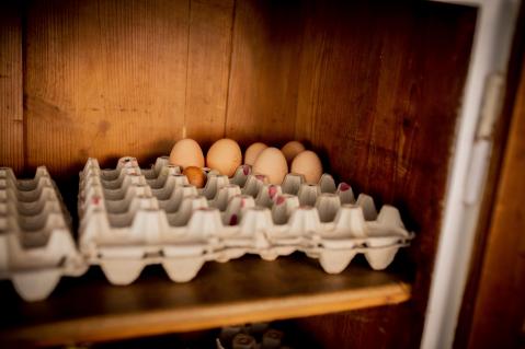 Die Eier werden jeweils am Freitag gleich unter den Parteien aufgeteilt.