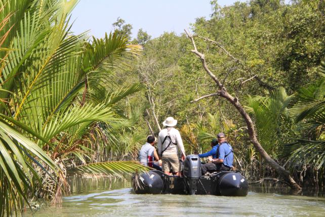 Die Sundarbans sind der grösste Mangrovenwald der Welt. Um sie zu besichtigen ist ein Boot unerlässlich.