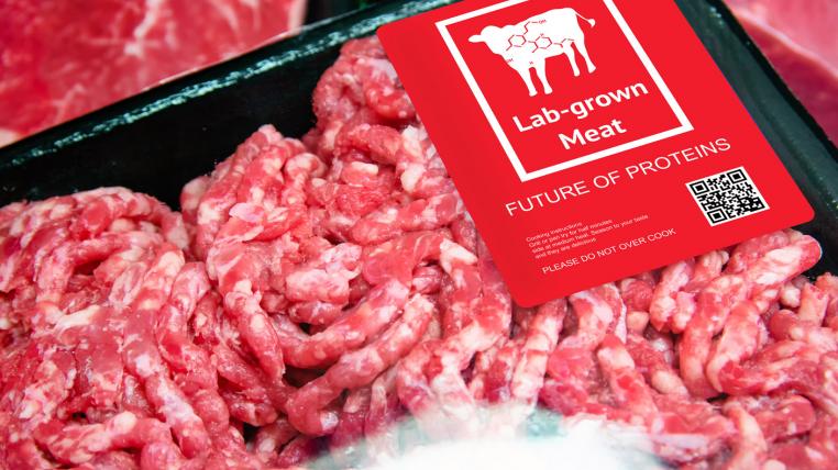 Laborfleisch könnte bald schon zu erschwinglichen Preisen in den Supermärkten erhältlich sein.
