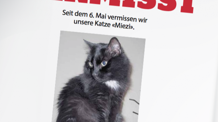 Plakate aufhängen – eines der Mittel, um eine vermisste Katze zu finden.